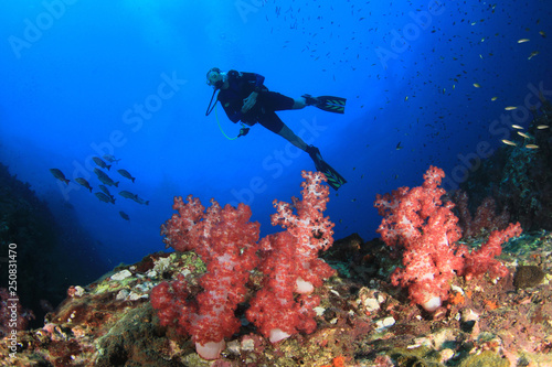 Scuba divers explore coral reef 