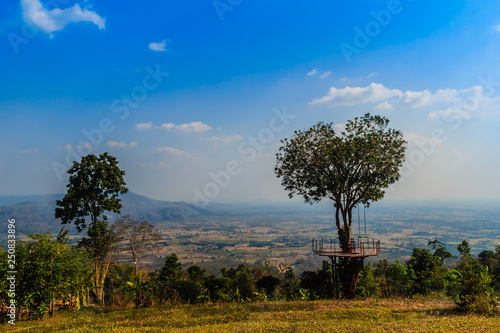 Tree of love in heart shaped with the green valley, blue sky and mountain range background. This public area is located at Ban Ruk Thai village, Noen Maprang district, Phitsanulok province, Thailand.