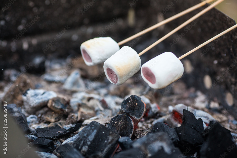 marshmallow on the grill Stock Photo | Adobe Stock