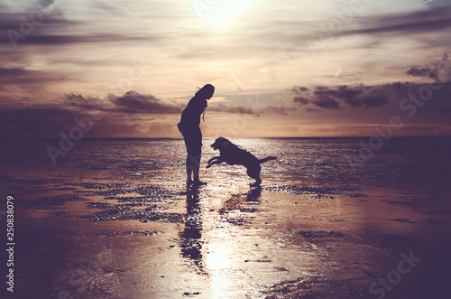 Mit dem Hund im Wattenmeer