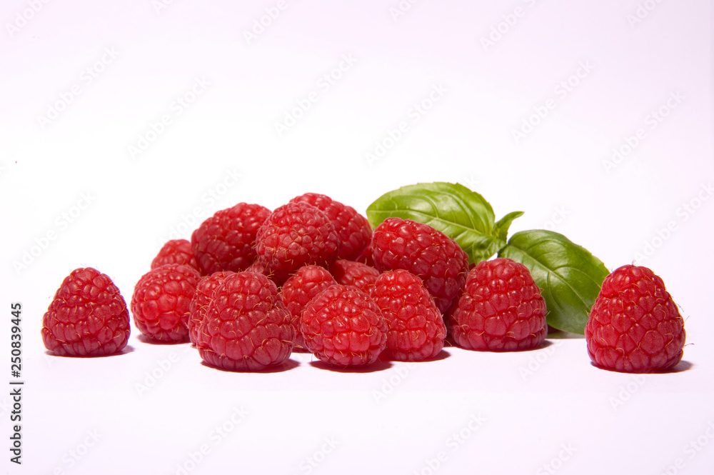 Himbeeren, Basilikum, rot, weiß, grün, lecker, essen, Früchte, Obst, gesund, frisch Himbeeren, Basilikum, rot, weiß, grün, lecker, essen, Früchte, Obst, gesund, frisch