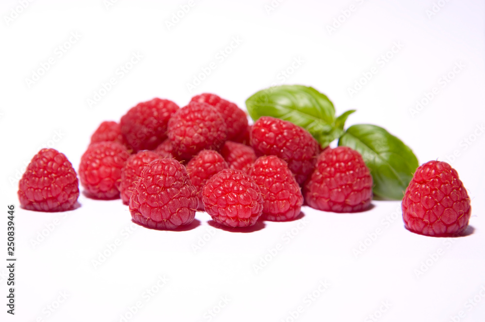 Himbeeren, Basilikum, rot, weiß, grün, lecker, essen, Früchte, Obst, gesund, frisch Himbeeren, Basilikum, rot, weiß, grün, lecker, essen, Früchte, Obst, gesund, frisch
