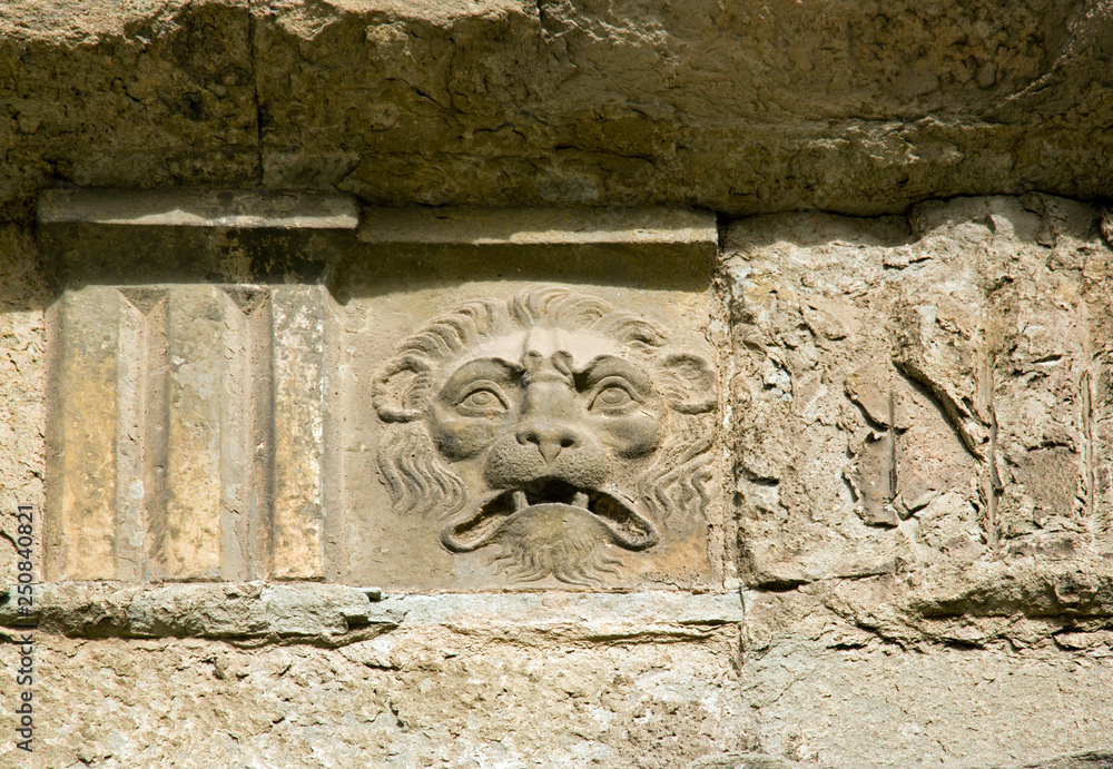 Obraz premium Fontaine lion Bas relief place Cathédrale Saint-Martin de Lucques (Lucques Toscane Italie)