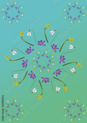 Spring Flowers