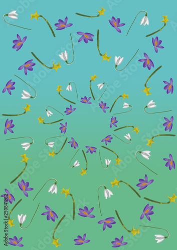 Spring Flowers