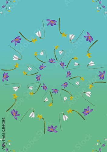 Spring Flowers