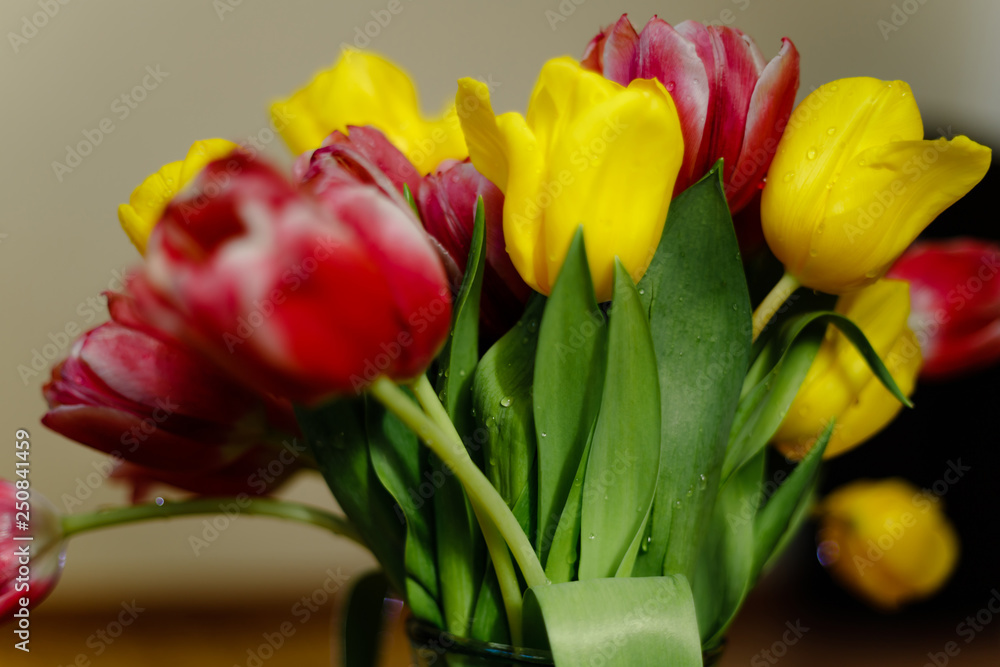 Obraz premium Pink and yellow tulips bouquet