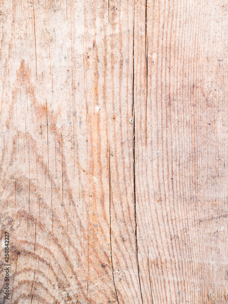 surface of wood background with natural pattern surface of wood background with natural pattern