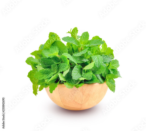 Mint leaf on white background