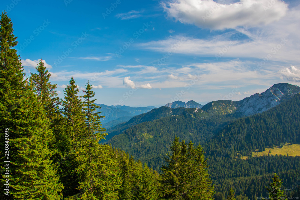 Obraz premium INDIGITALBLIND PHOTOGRAPHY