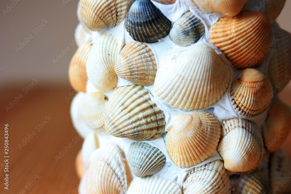 Seashells on a glass