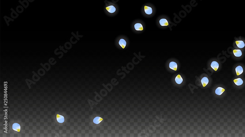Vector Realistic Blue Petals Falling on Transparent Background.  Spring Romantic Flowers Illustration. Flying Petals. Sakura Spa Design. Blossom Confetti.