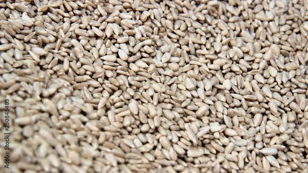 cleaned sunflower seeds on the market. background of sunflower seeds. cleaned sunflower seeds on the market. background of sunflower seeds.