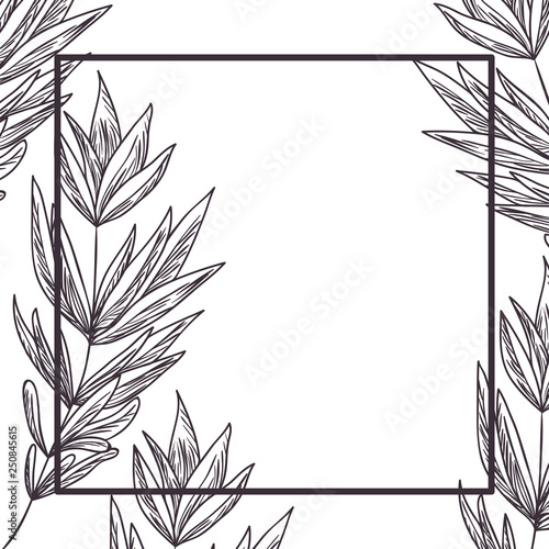 branch and leaf with frame isolated icon