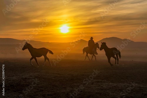 The cowboy who tamed horses at sunset