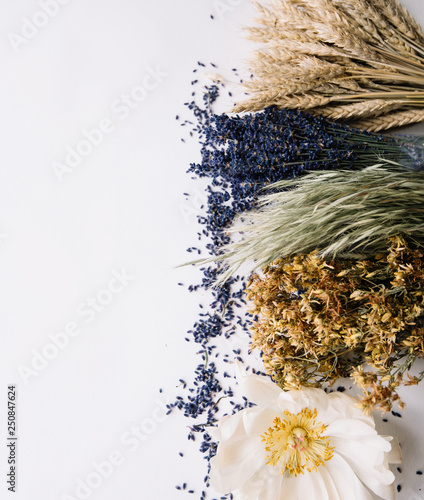 Fresh lavender, wheat and other plants on the white background, lavender seeds making a frame with a space, top view, flat lay