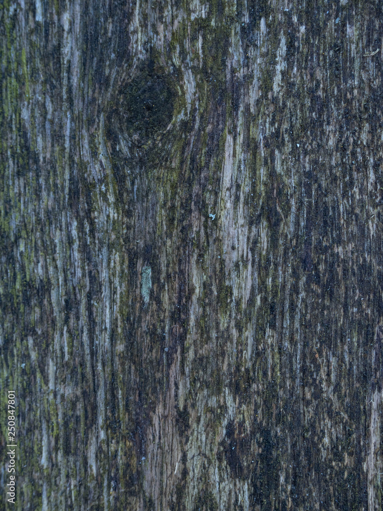 Obraz premium Very old wooden background or texture