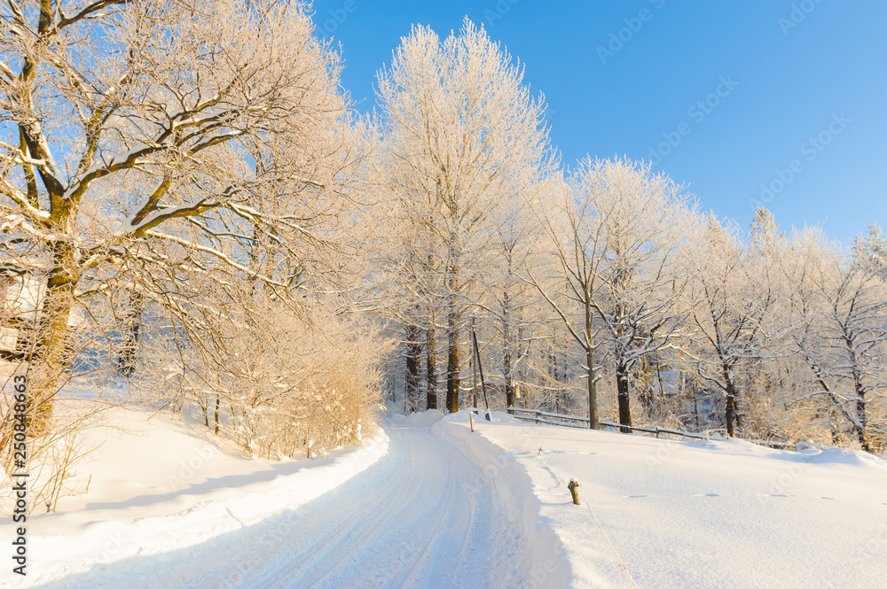Fototapeta premium Touristic trail in winter scenery