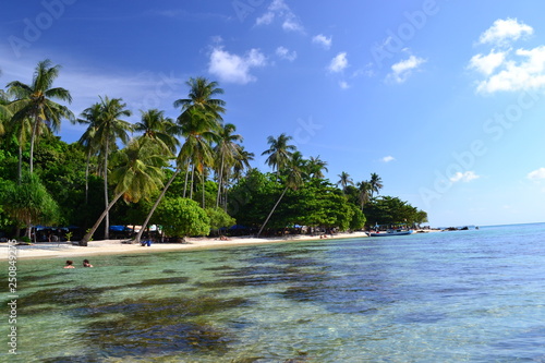 Tropical paradise on island