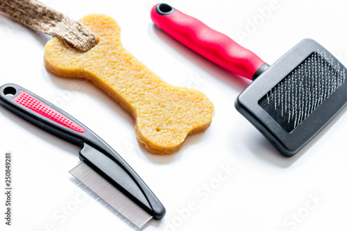 concept pet care and grooming on white background