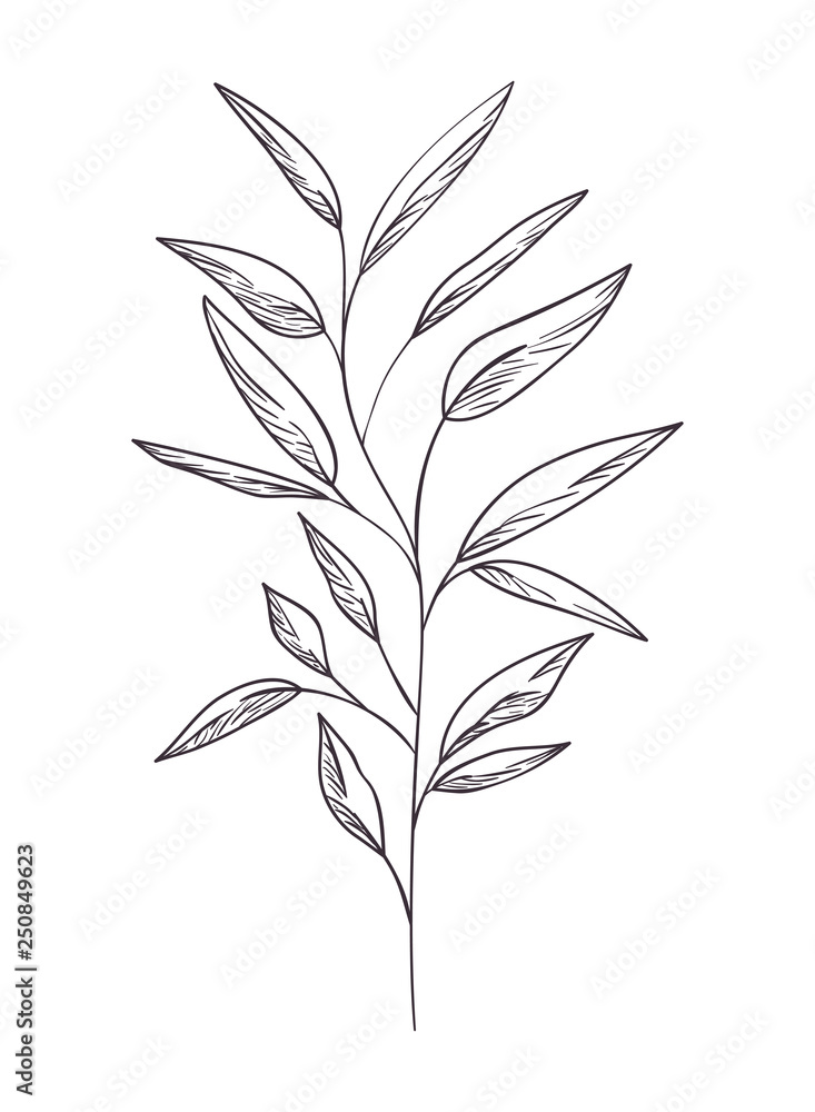 branch with leaf isolated icon branch with leaf isolated icon