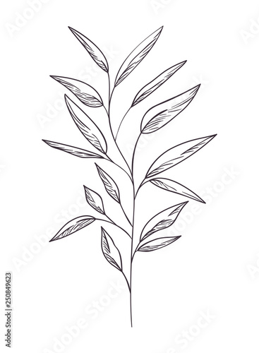 branch with leaf isolated icon © grgroup