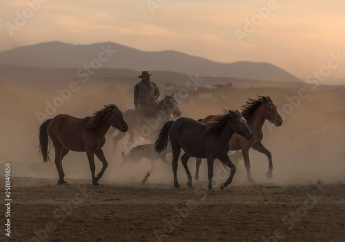Cowboy dander  smoke and dust was in the wild horses