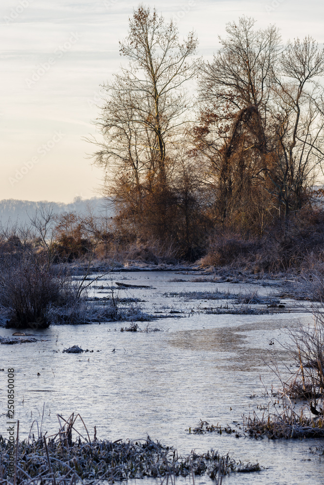 Frozen Marsh Inlet Frozen Marsh Inlet