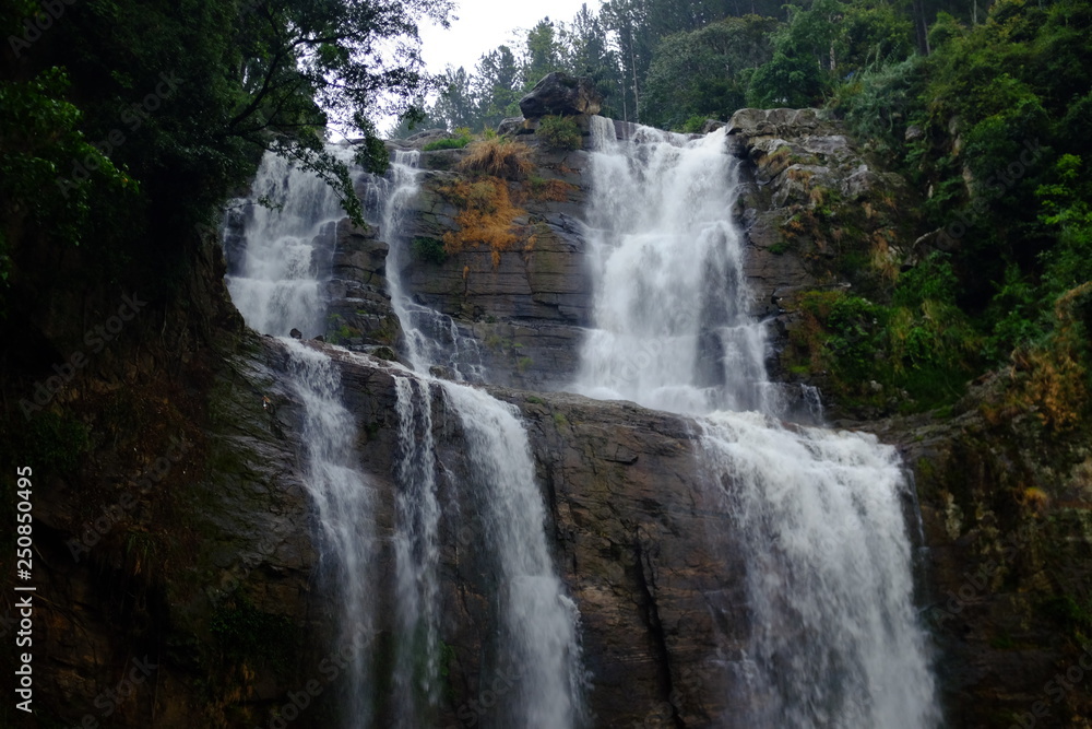 waterfall in forest