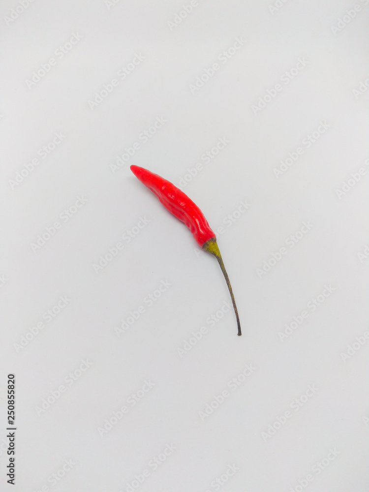 Organic red hot chili pepper isolated on white background Organic red hot chili pepper isolated on white background