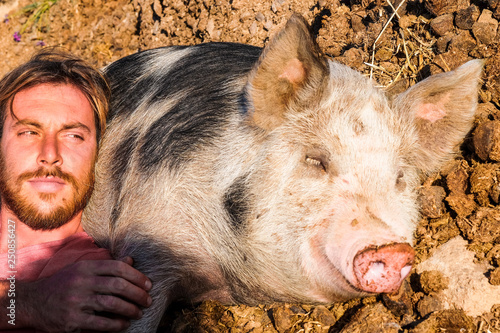 Man owner lay down and relaxing with her best friend pink pig sleeping on the ground - farmer lifestyle and alternative domestic animal - country side life and pet therapy concept