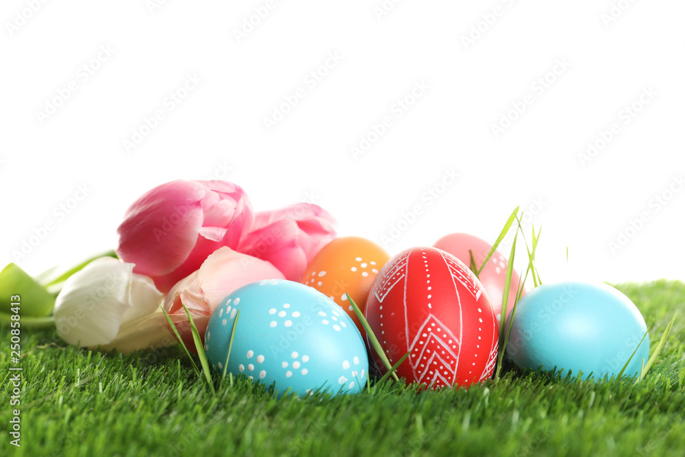 Colorful painted Easter eggs and spring flowers on green grass against white background