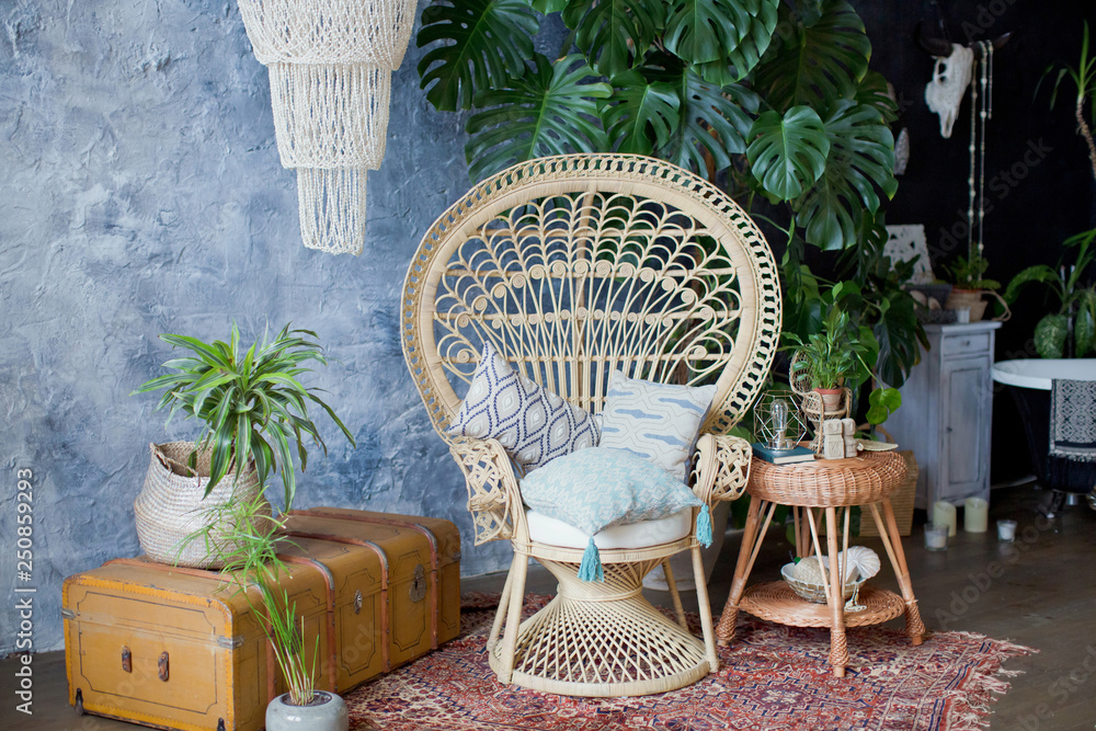Rattan peacock chair and big monstera plant in loft room - obrazy, fototapety, plakaty 