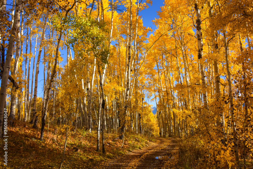 Fototapeta premium Colorado in the Autumn