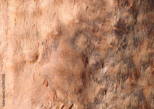 Tree trunk beige color without bark background or texture photo