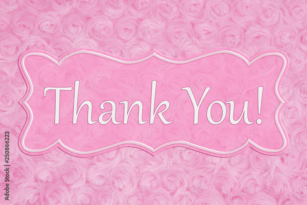 Thank You message on a pale pink rose plush fabric with ribbon Thank You message on a pale pink rose plush fabric with ribbon