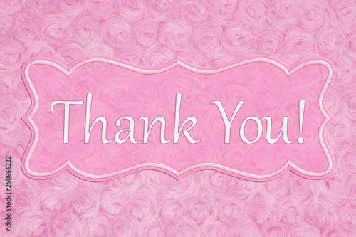 Thank You message on a pale pink rose plush fabric with ribbon © Karen Roach