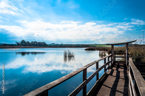 wooden footbridge near the pond