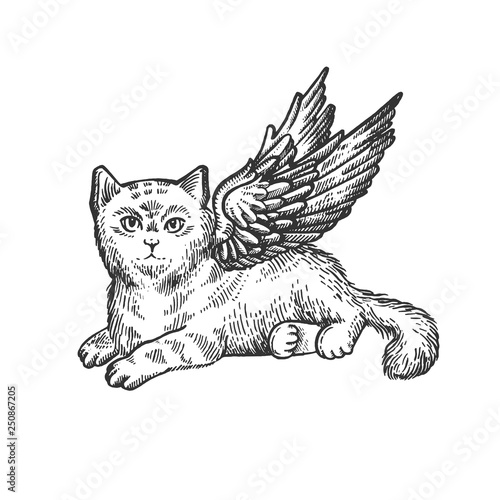 Angel flying kitten sketch engraving vector illustration. Scratch board style imitation. Black and white hand drawn image.