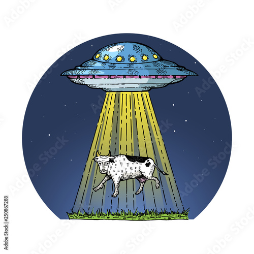 UFO kidnaps the cow color sketch engraving vector illustration. Scratch board style imitation. Hand drawn image.