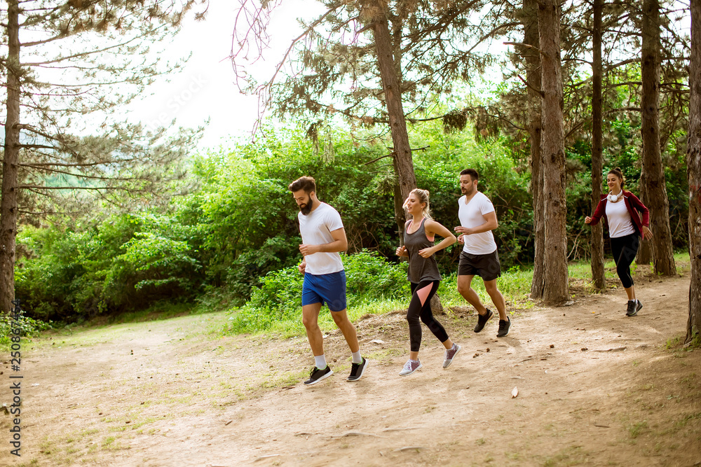 Group of young people run a marathon through the forest Group of young people run a marathon through the forest