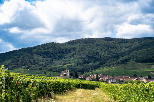 Strada dei vini, Alsazia