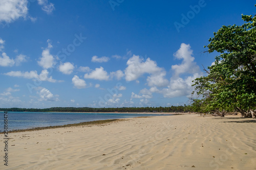 Paisagem de praia na ilha de Boipeba Bahia, Brasil. Fevereiro 2019.