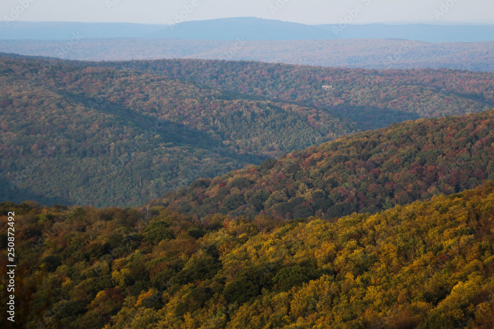 View from Bickle Knob Tower View from Bickle Knob Tower