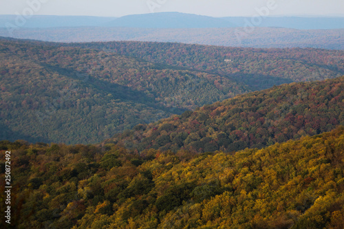 View from Bickle Knob Tower © Robert Ulph