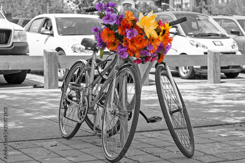 bicycle with flowers