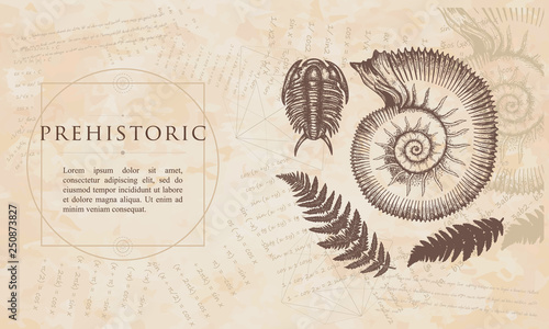 Prehistoric. Ancient ammonites fern, trilobite. Archeology and paleontology concept. Cambrian art. Renaissance background. Medieval manuscript, engraving style