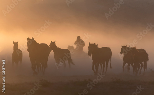 Cowboy dander  smoke and dust was in the wild horses