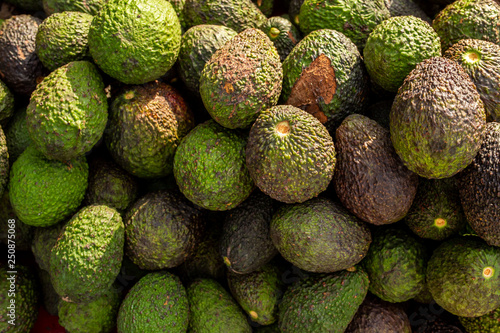 Fresh organic avocado at farmer's market - Image