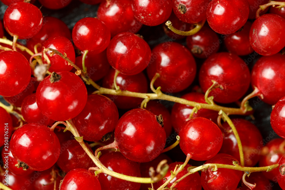 background of ripe juicy red currant berries. background of ripe juicy red currant berries.